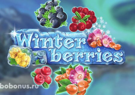 Winterberries слот