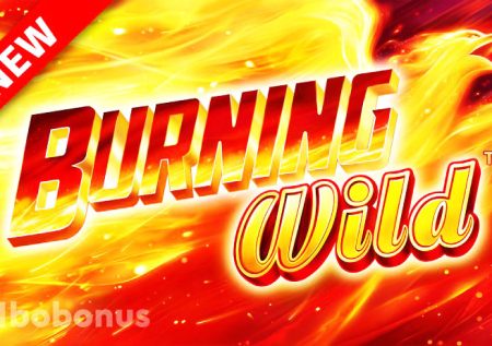 Burning WILD™ (Novo Line) слот