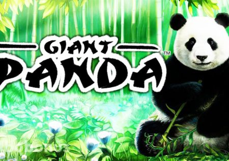 Giant Panda™ слот