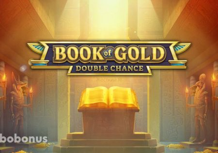 Book of Gold: Double Chance слот