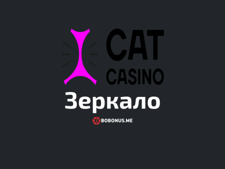 Рабочее зеркало Cat Casino для входа на сайт